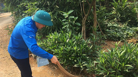 Phù Yên (Sơn La): Triển khai các giải pháp nâng cao tỷ lệ chất thải rắn nông thôn được thu gom