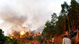 Đốt nương, rẫy gây cháy rừng bị xử phạt như thế nào