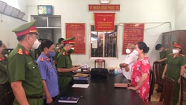 Khởi tố Chủ tịch HĐQT Công ty An Phú Thịnh trốn thuế
