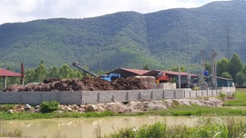 Dự án Nhà máy sản xuất nông - lâm sản Vinh Nhất (Thanh Hóa): Phát hiện hàng loạt sai phạm