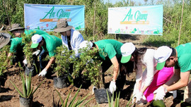 Alphanam Green Foundation: Khi màu xanh trở thành “màu nhân văn”