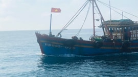 Bình Định: Xử phạt hơn 342 triệu đồng về hành vi khai thác thủy sản bất hợp pháp 