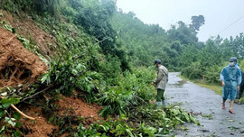 Nghệ An: Khẩn trương khắc phục những điểm sạt lở đất ở vùng cao
