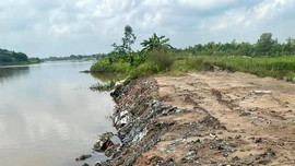 Bãi bồi màu mỡ thành nơi chôn lấp rác thải ở huyện Ninh Giang, Hải Dương: Xử lý nghiêm minh đúng người, đúng tội