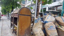 TP. Vinh (Nghệ An): Thùng rác công cộng trên phố đi bộ bị phá hoại