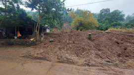 Nghệ An: Sạt lở núi phá hỏng, uy hiếp nhà dân ở Tam Thái