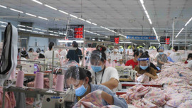 Bình Định: Phát triển nhà ở cho công nhân 