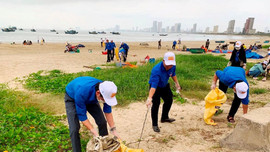 Đà Nẵng: Địa phương đầu tiên được USAID chọn triển khai “Thành phố sạch, đại dương xanh” 