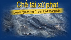 Inforgraphic: Các chế tài xử phạt các doanh nghiệp “trốn” hoàn thổ khoáng sản