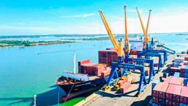 THILOGI thực hiện dịch vụ xuất khẩu hàng hóa cho các doanh nghiệp FDI