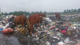 Diễn Châu (Nghệ An): Ô nhiễm nghiêm trọng tại bãi rác Diễn Ngọc