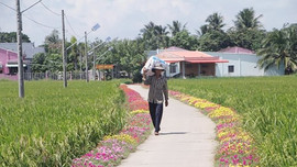Tín đồ Phật giáo Nam tông tỉnh Sóc Trăng tích cực bảo vệ môi trường