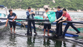 Khánh Hòa: Kháng được gió bão, nghề nuôi biển “cất cánh”