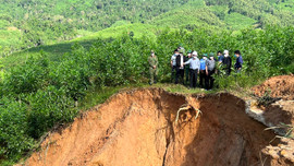 Bình Định: Chuyên gia địa chất nói gì về hiện tượng sạt lở đất, đá?