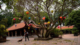 Chùa Vĩnh Nghiêm (Bắc Giang): Truyền cho Phật tử tình yêu với môi trường sống