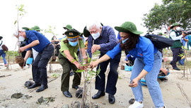Trồng 12,11 triệu cây xanh để Khánh Hòa “xanh, sạch, đẹp”