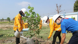 PV GAS đồng hành cùng “Chương trình 1 tỷ cây xanh” tại tỉnh Khánh Hòa