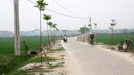 Đồng bào công giáo tỉnh Bắc Giang tích cực hiến đất xây dựng nông thôn mới