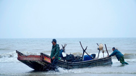Thanh Hóa: Kêu gọi tàu thuyền về nơi tránh trú bão an toàn