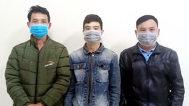 Gia Lai: 3 người bị bắt vì tấn công bảo vệ rừng khi bị phát hiện vận chuyển gỗ lậu