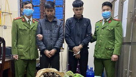 Nghệ An: Bắt nhóm “con nghiện” gây ra hàng loạt vụ trộm quế người dân