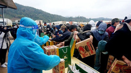 Lạng Sơn: Hỗ trợ hàng nghìn suất quà cho lái xe đường dài