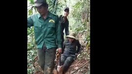 Thừa Thiên - Huế: Truy quét “lâm tặc”, cán bộ bảo vệ rừng gặp nạn