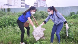 Đà Nẵng: Tổng vệ sinh môi trường đón Tết