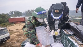 Lạng Sơn: Dừng tiếp nhận phương tiện chở hoa quả tươi từ ngày 17/01