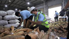 Đà Nẵng: Bắt giữ số lượng lớn hàng hoá nghi ngà voi và vảy tê tê