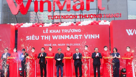 Nghệ An: Khai trương siêu thị Winmart Vinh