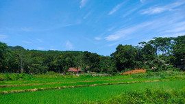 Phát triển du lịch sinh thái kết hợp với nông nghiệp hữu cơ ở huyện Quan Sơn