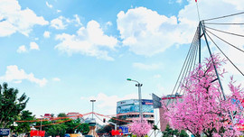 Thành phố Sơn La trước thềm Xuân mới