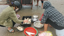 Nghệ An: “Lộc biển” đầu năm đắt khách