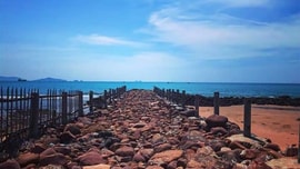 Nghi Sơn (Thanh Hóa): Tăng trưởng xanh để phát triển bền vững