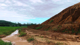 Quảng Ngãi: Ruộng màu mỡ thành ruộng chết vì nhà máy gạch 