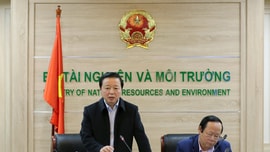 Tập trung triển khai các nhiệm vụ trọng tâm lĩnh vực môi trường năm 2022