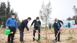 Nghệ An: Ngân hàng BIDV tổ chức trồng 6.500 cây phòng hộ ven biển
