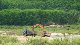 Xử lý nạn khai thác cát trái phép ở Bình Định: Cần những giải pháp mạnh