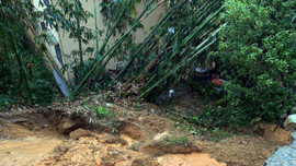 Lào Cai: Thiệt hại 900 triệu đồng do mưa rét