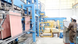 Lào Cai: Không để phát sinh điểm nóng về môi trường