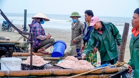Thanh Hóa tăng cường công tác quản lý môi trường cảng cá