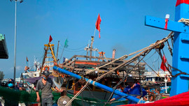 Miền Trung: Ngư dân gặp khó vì chi phí tăng cao