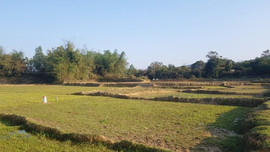 Điện Biên: Sớm có biện pháp điều tiết, tiết kiệm nước trong sản xuất nông nghiệp 