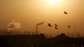 Phát thải khí CO2 từ ngành năng lượng toàn cầu đạt mức cao kỷ lục