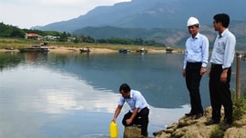 Theo dõi thi hành pháp luật tài nguyên nước năm 2022