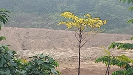 Long Biên - Hà Nội: Cần làm rõ trách nhiệm đơn vị khai thác san lấp phế thải trái phép ven sông Hồng
