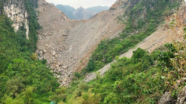 Ninh Bình yêu cầu báo cáo vụ Công ty TNHH Duyên Hà phá rừng phòng hộ