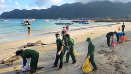 Bà Rịa – Vũng Tàu: Ra quân trồng cây xanh và làm sạch môi trường