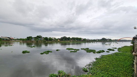 Hà Nam: Tăng cường bảo vệ chất lượng nguồn nước